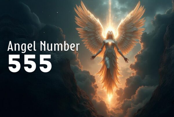 angel number 555