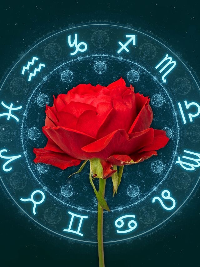 Flowers According To Your Zodiac Sign - InstaAstro