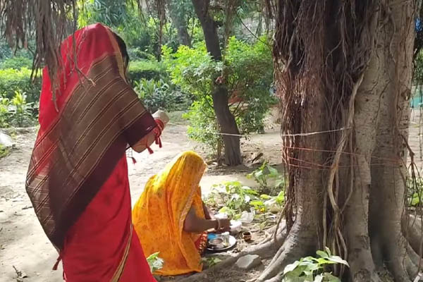 Worship Of Peepal Tree