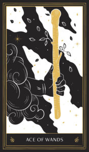Ace of wands tarot card