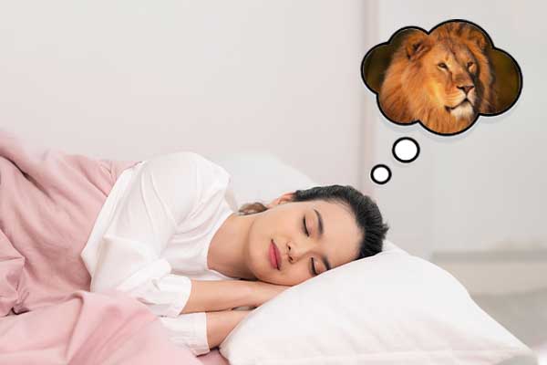 Seeing Lion in Dream