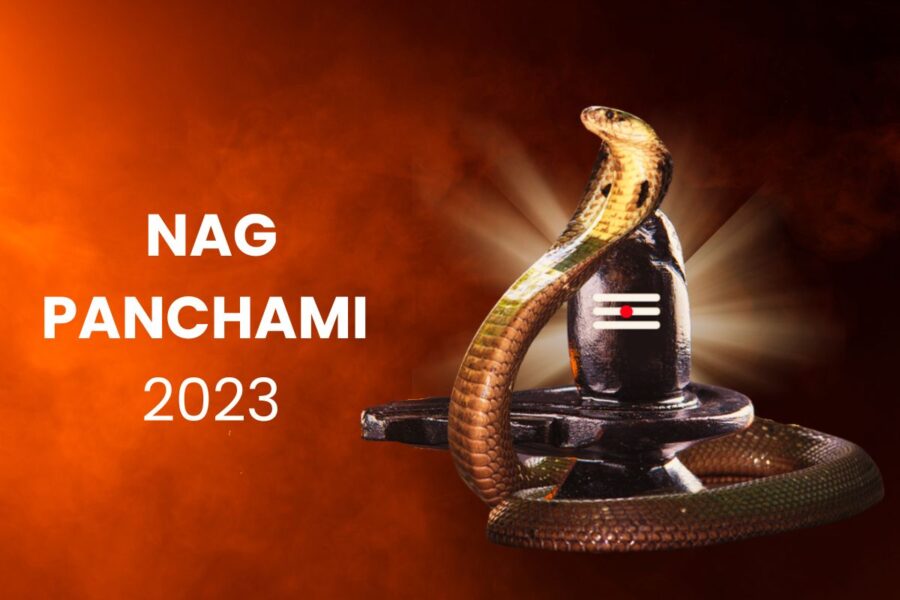 Nag Panchami 2024 Meaning, Significance and Rituals! InstaAstro